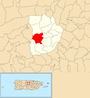 Location of San Lorenzo within the municipality of Morovis shown in red
