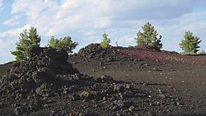 Scoria field at Craters of the Moon NM-750px