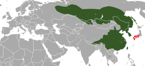 Siberian Weasel area.png