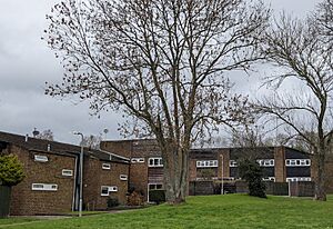 Spitals Cross estate, Edenbridge