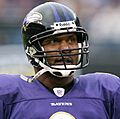 Steve McNair 2006 (cropped)