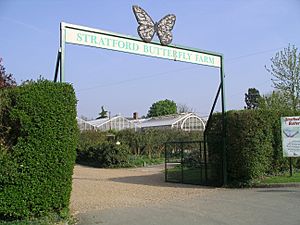 Stratford butterfly farm gate 14a07