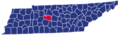 Tennessee Republican Presidential Caucuses Election Results by County, 2016
