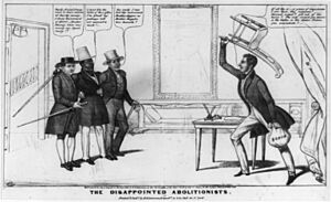The disappointed abolitionists LCCN2008661783