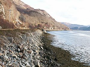 The north shore of Loch Moidart - geograph.org.uk - 125830