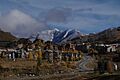 Town of Mt. Crested Butte