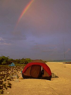 V73T Ham Shack