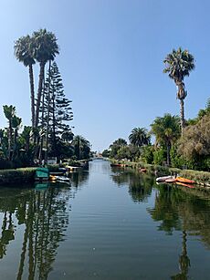 Venice Canal LA