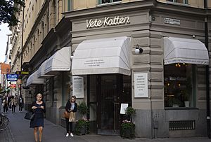 VetteKatten-Estocolmo-1.jpg