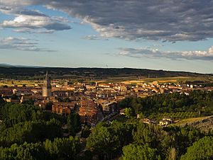 Vista de El Burgo de Osma desde el castillo de Osma (cropped)