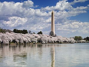 Washington Monument, Washington, D.C. 04037u original