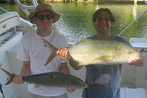 Yellow jack 2 views