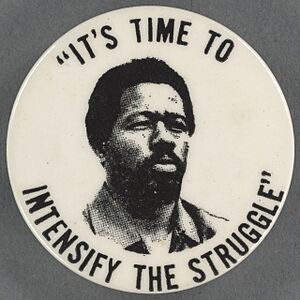 "It's Time to Intensify the Struggle" political button Eldridge Cleaver