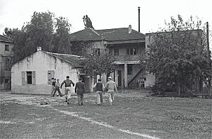 שרונה - שרונה הגרמנית עוברת לידי קרן הקיימת.-JNF025779