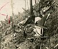 1957 Cebu Douglas C-47 crash site
