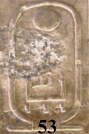 Abydos KL 07-14 n53