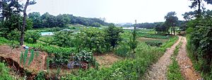 Across Ipbuk-dong towards Wangsong