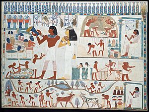 Agricultural Scenes, Tomb of Nakht MET DT306954