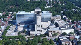 Allegheny General Hospital 2017.jpg