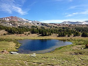 Alpine meadow and lake (19374339176)