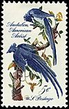 Audubon society BlueJays 5c 1963 issue.jpg