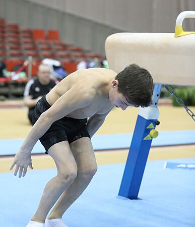Austrian Future Cup 2018-11-23 Training Afternoon Pommel horse (Martin Rulsch) 331