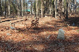 Black Pioneers Cemetery marked graves, Euharlee Feb 2017