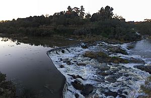 Buckley Falls, evening (8 June 19)