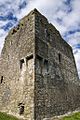 Castles of Munster, Ballymalis, Kerry (2) - geograph.org.uk - 1392752