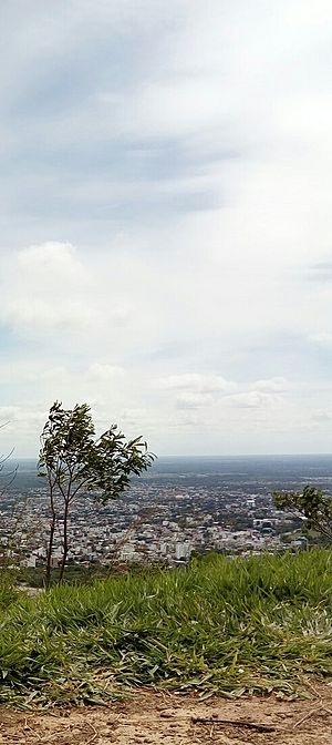 Cerro buena vista