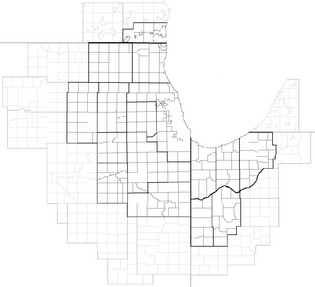 Chicagoland Townships grays