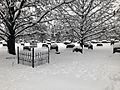 Columbia Cemetery after snow storm January 2019
