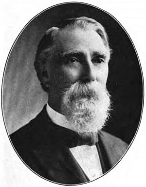 Daniel W. Mills (Illinois Congressman)