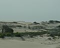 DunesPeaIslandJune2007