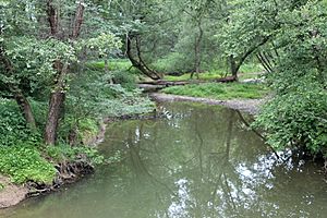 East Branch Chillisquaque Creek in the summer 1