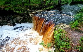 Falling Creek Falls - June 2017.jpg