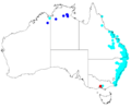 Ficus coronata distribution