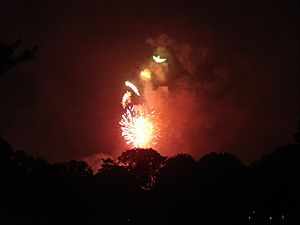 Fireworks at Brookdale Park (2006)
