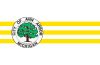 Flag of Ann Arbor, Michigan