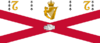 Flag of the Royal College of Surgeons in Ireland.svg