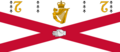 Flag of the Royal College of Surgeons in Ireland