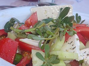 Glistrida Greek salad