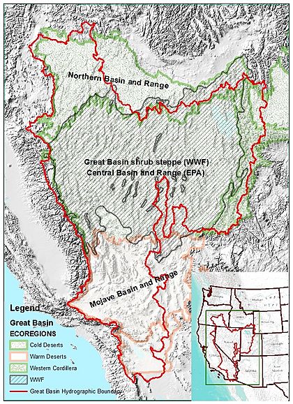 Great Basin Ecoregions