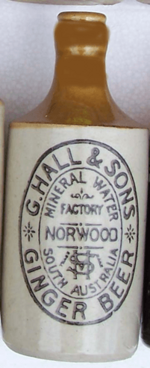 Hall's Stonie ginger beer