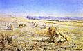 Harvest Field - Jane Sutherland