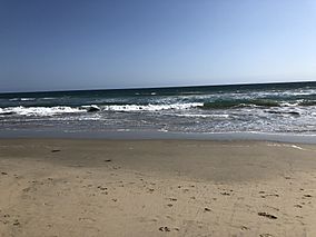 Huntington State Beach 4 2018-05-20.jpg