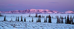 Iditarod National Historic Trail between Kaltag and Unalakleet