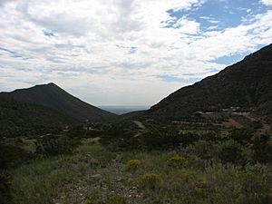 InMcKelligonCanyonLookingSouthEastTowardHuecoBolson