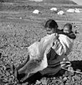 Inuit woman “Josie” chewing sealskin to soften it for making kamiits (boots), Kinngait, Nunavut (31497043966)