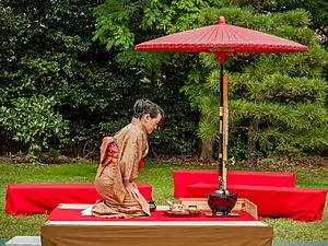 Japan tea ceremony 1165